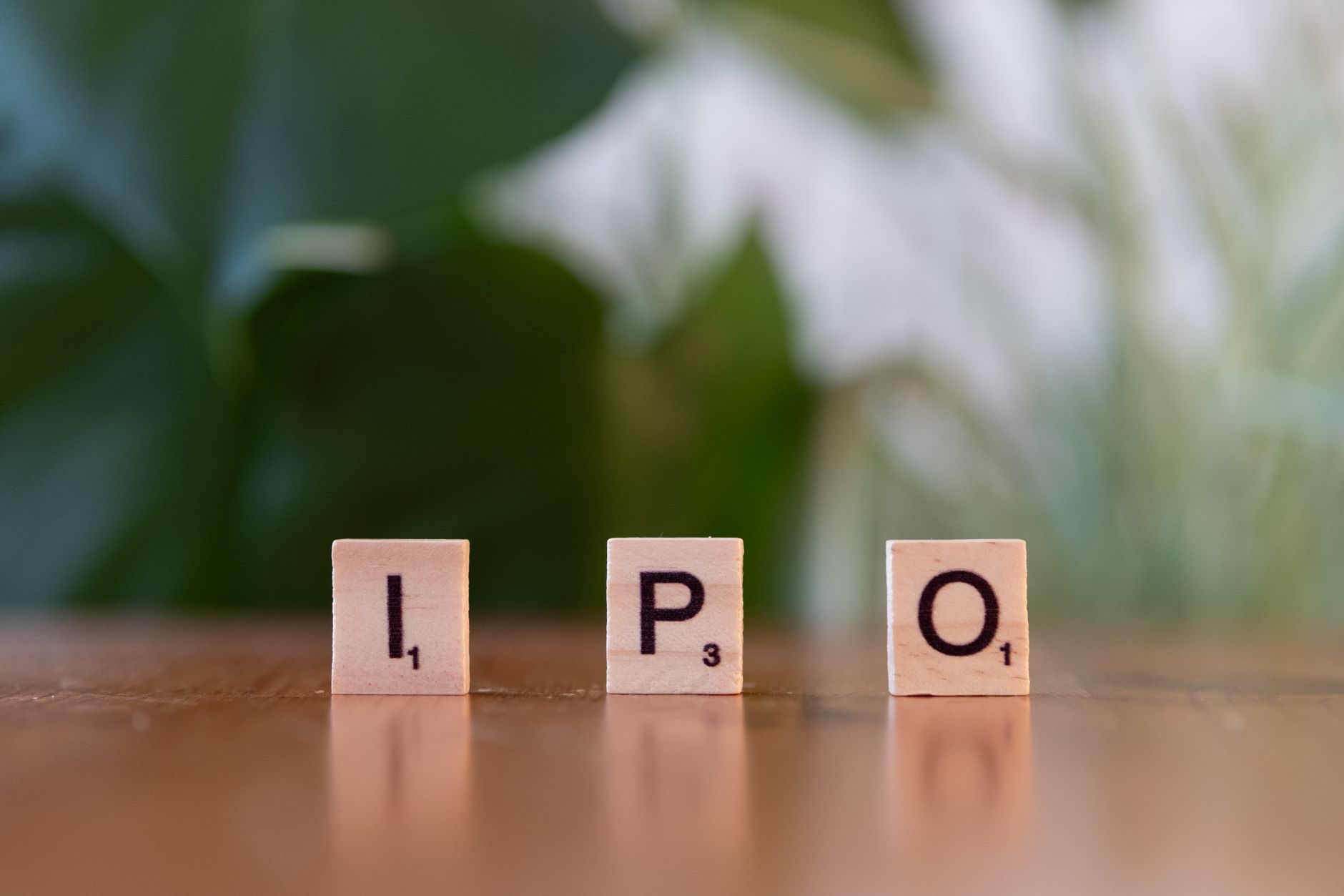 NSE IPO Subscription Status: Clear Insights on Day 1